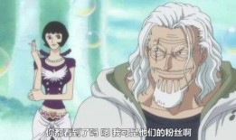 青年雷利官方爆料视频,揭秘青年时代的传奇故事